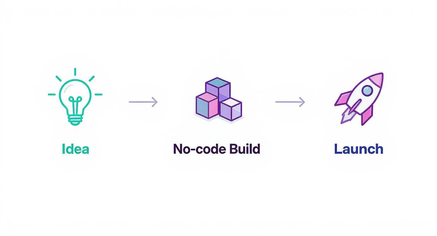 Infographic about nocode landing page