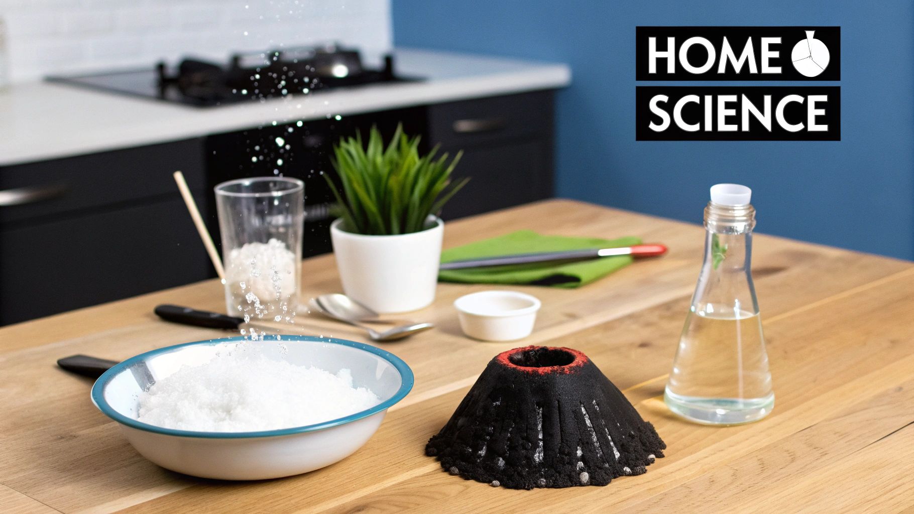 DIY Home Science Experiments and STEM Projects