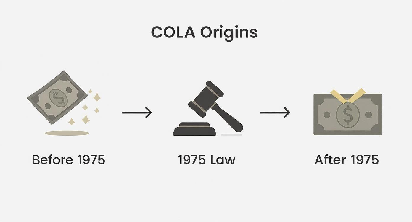 Infographic showing the evolution of COLA from before 1975 with falling money, to the 1975 law with a gavel, to after 1975 with stable money.