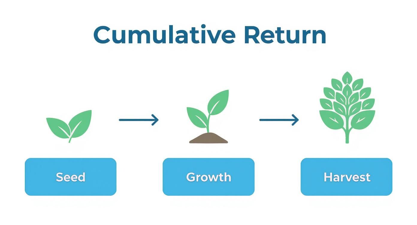 Infographic about cumulative rate of return