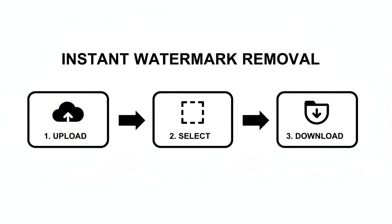 A diagram illustrating three steps for instant watermark removal: upload, select area, and download.