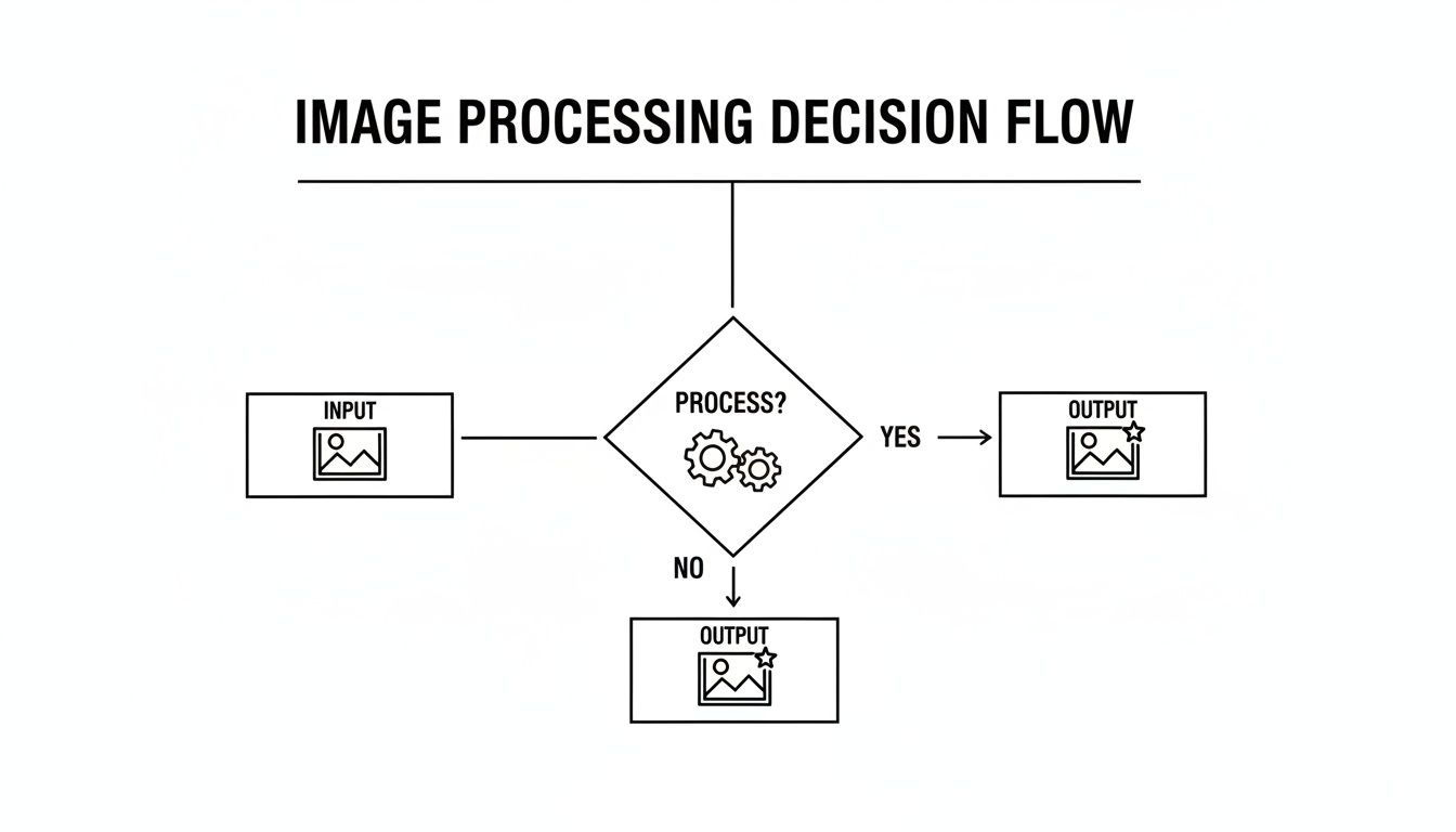 Flowchart showing the image processing decision flow, including input, a processing decision, and output.