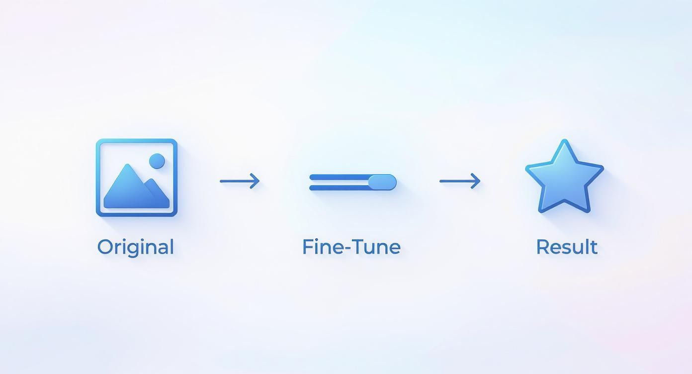 Process diagram showing an original image input, a fine-tuning step, and a final star result.