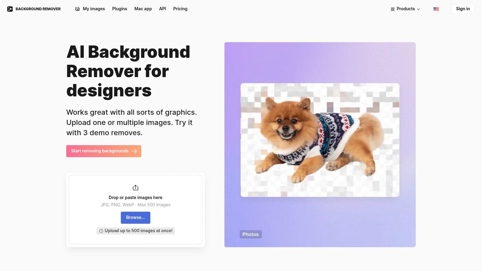 A dog's photo before and after its background is removed using Icons8 Background Remover.