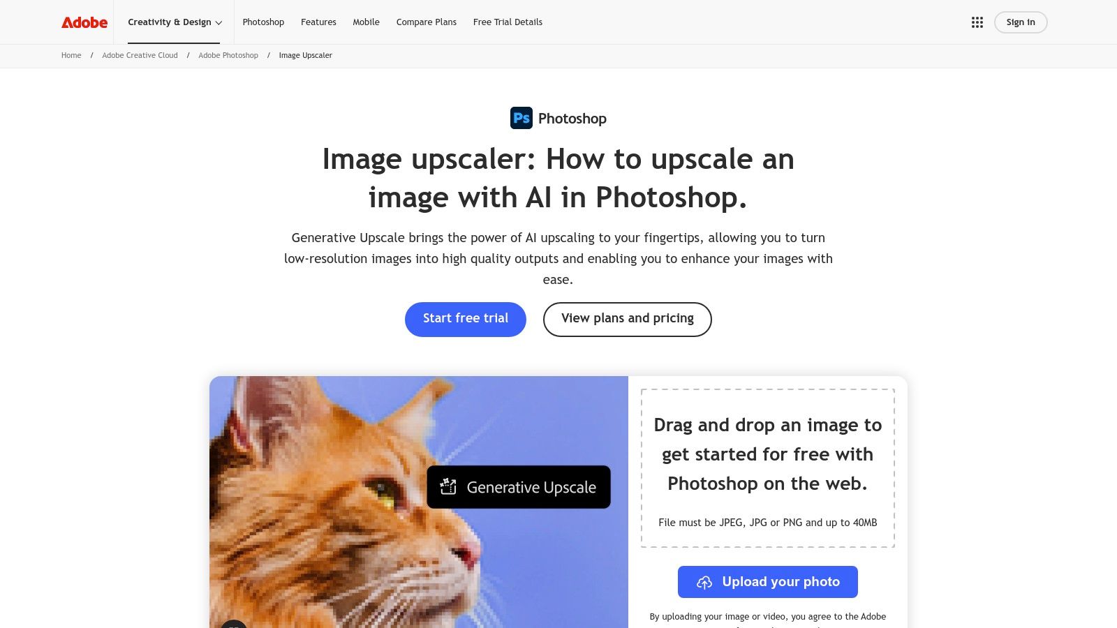 Adobe (Photoshop / Adobe Express)