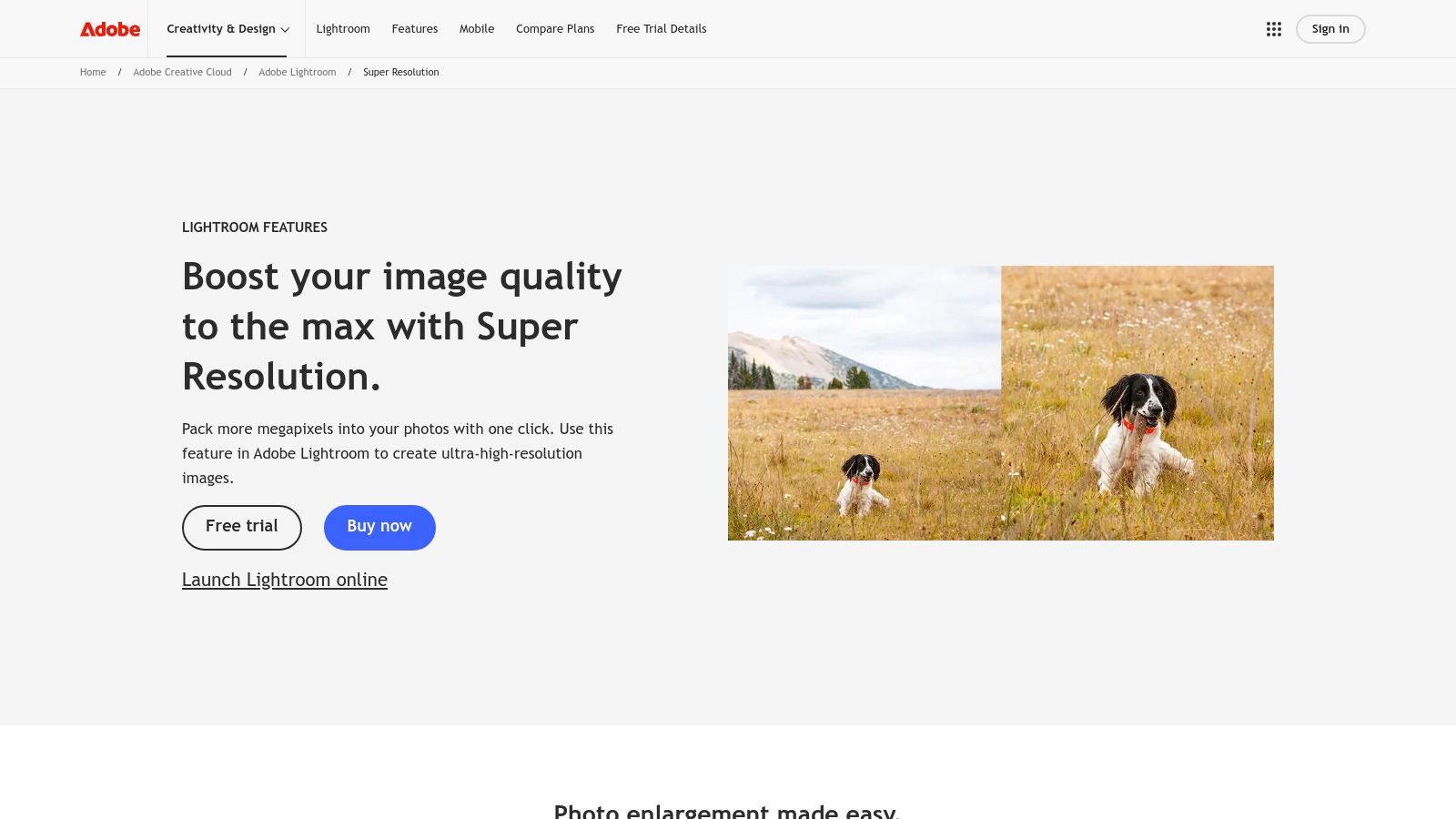 Adobe – Photoshop & Lightroom Super Resolution