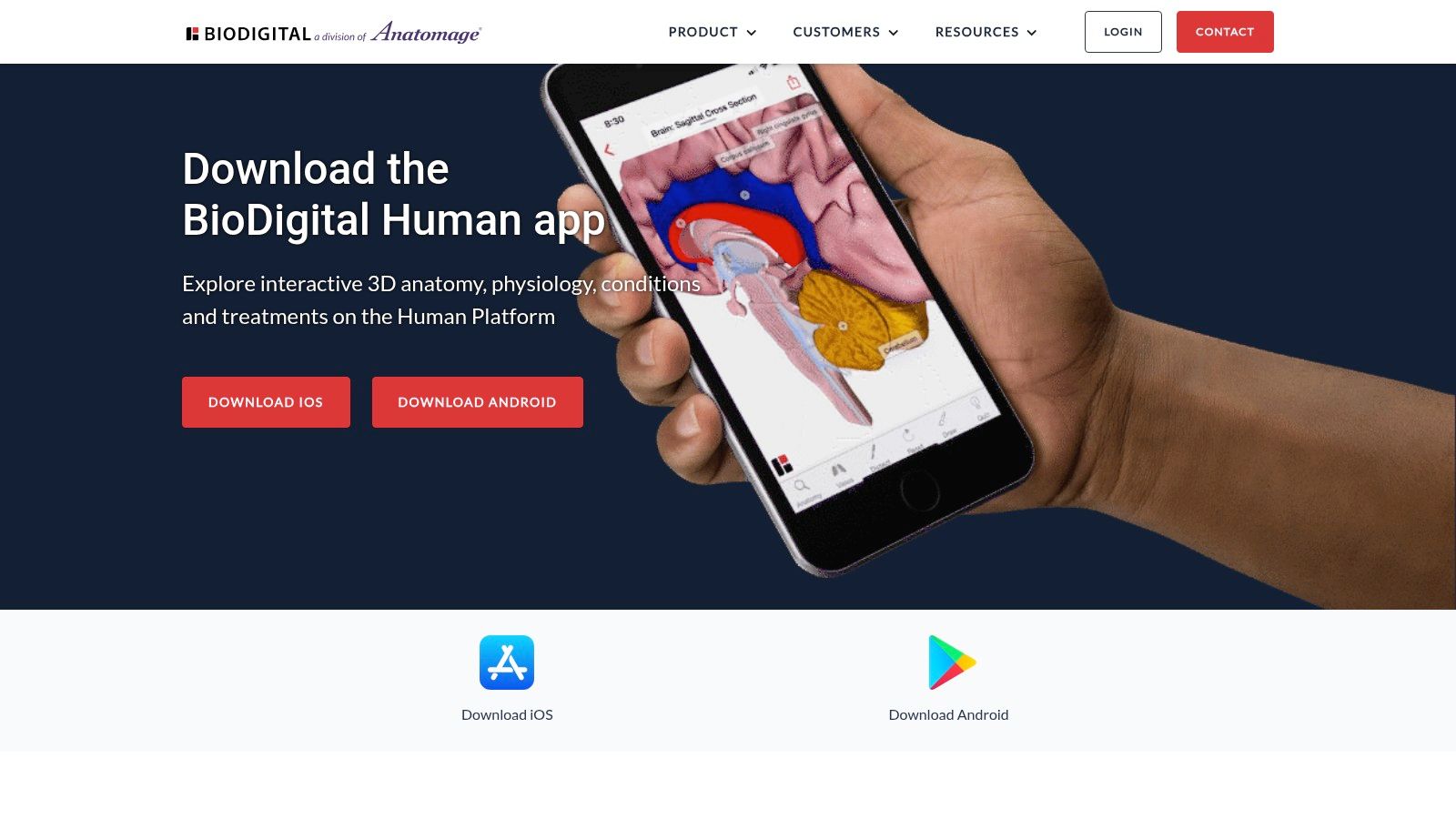 BioDigital Human (official site)