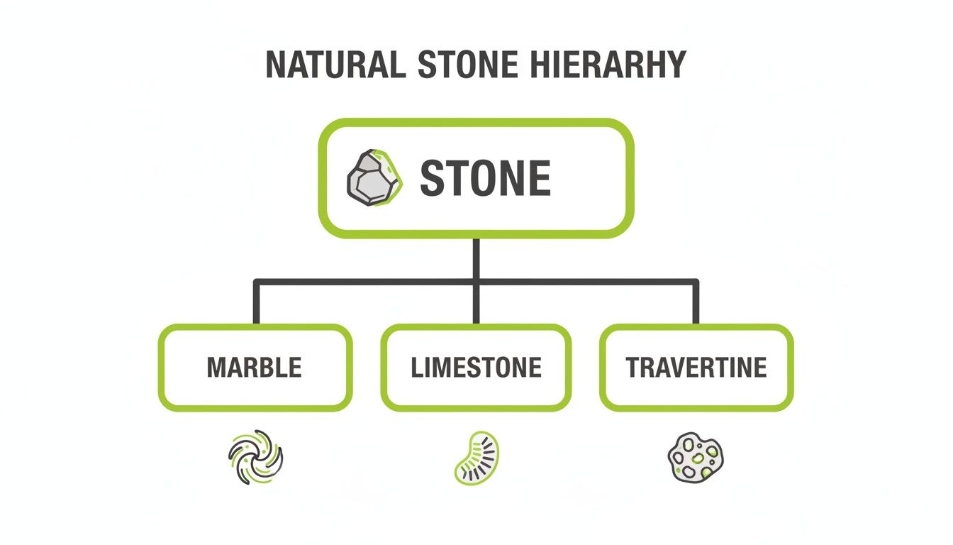 A hierarchy diagram showing natural stone types: Stone, then Marble, Limestone, and Travertine.