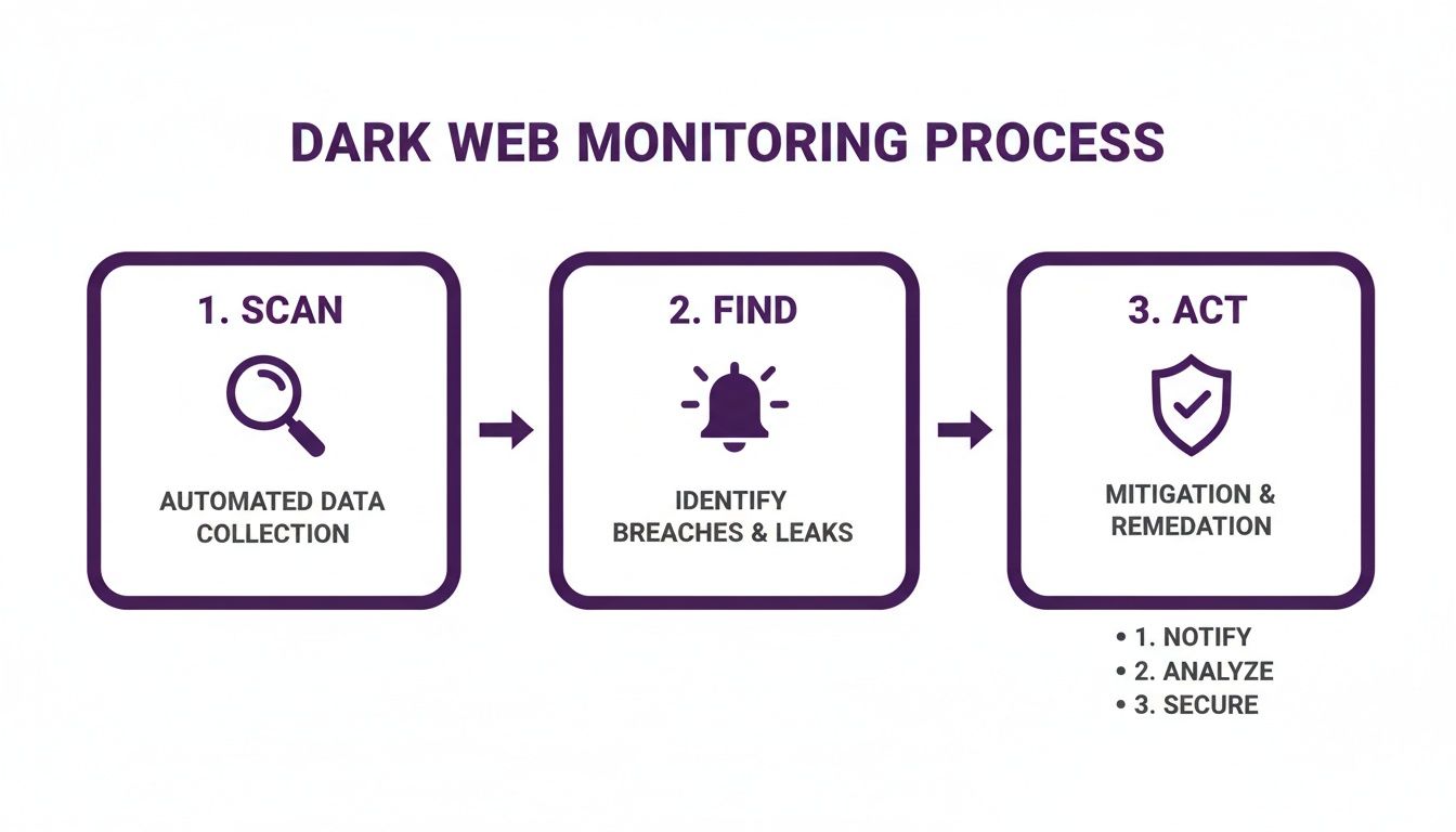 A three-step dark web monitoring process: scan for data, find breaches, and act on remediation.