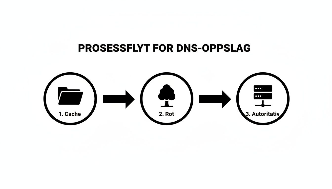 Infographic about hva er domene