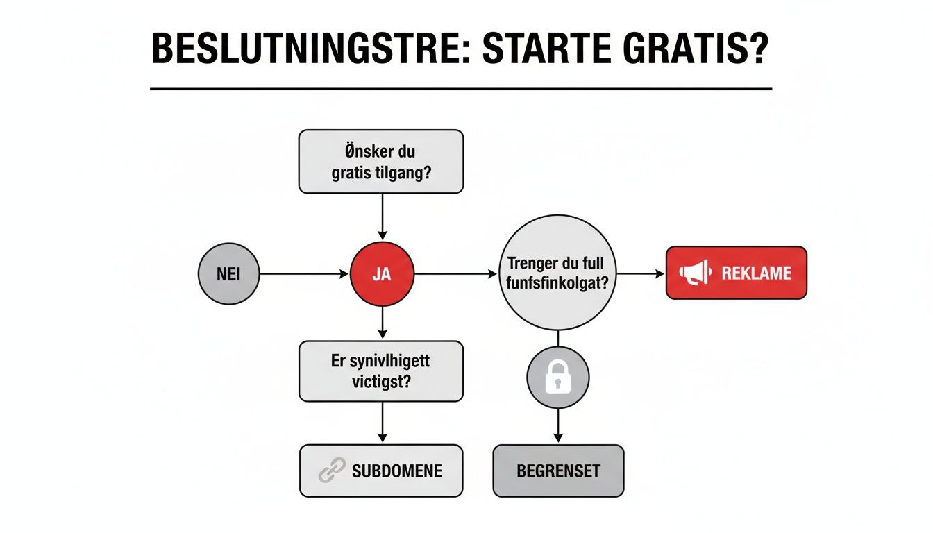 Beslutningstre for å starte gratis, med valg for gratis tilgang, funksjonalitet og synlighet.