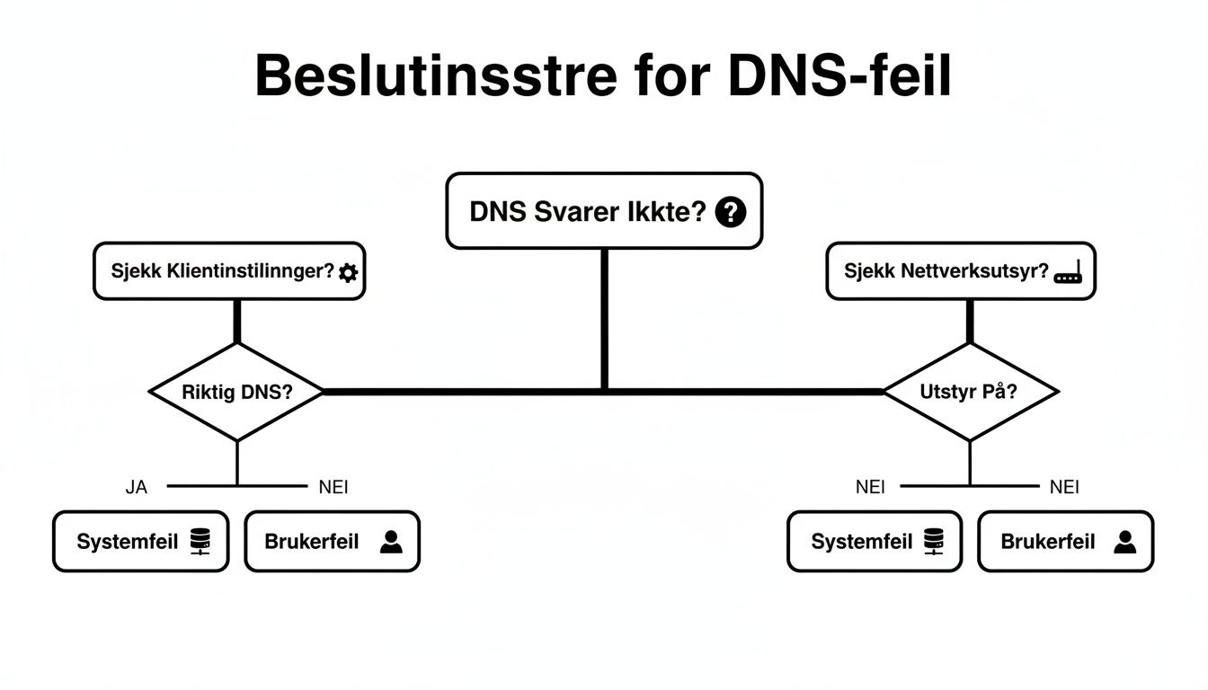 Et beslutningstre som veileder brukere gjennom feilsøking av DNS-feil, inkludert klientinnstillinger og nettverksutstyr.