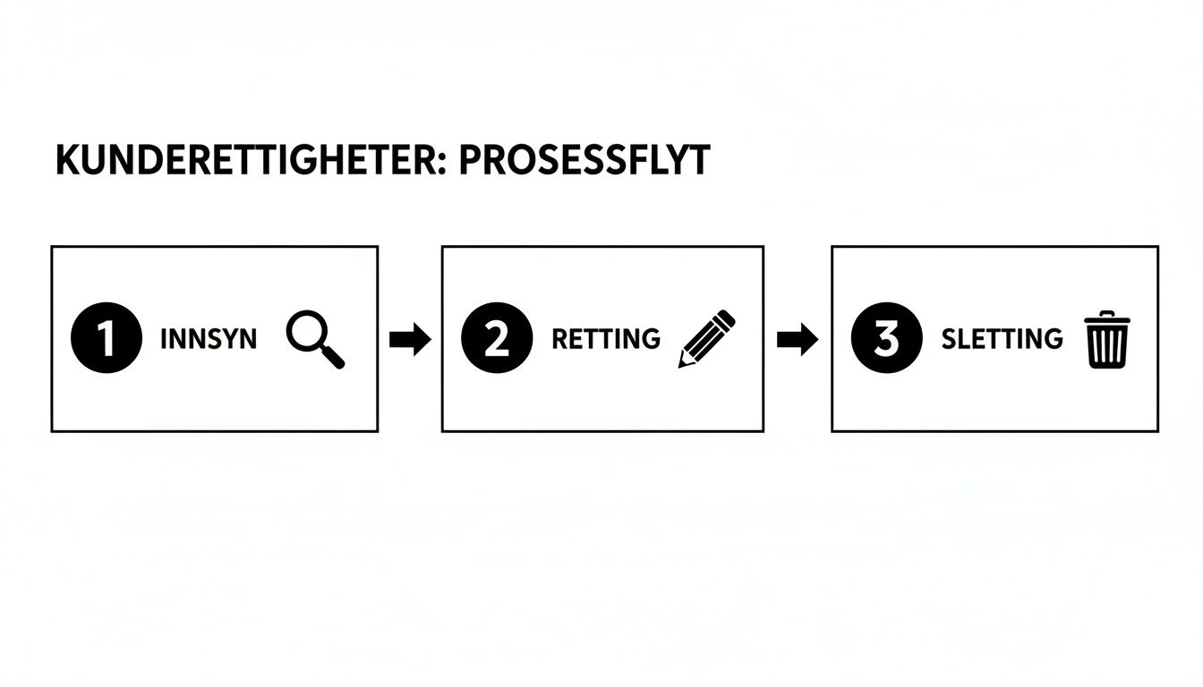 En visuell oversikt over GDPR-rettigheter: Innsyn, retting og sletting av kundedata i en prosessflyt.