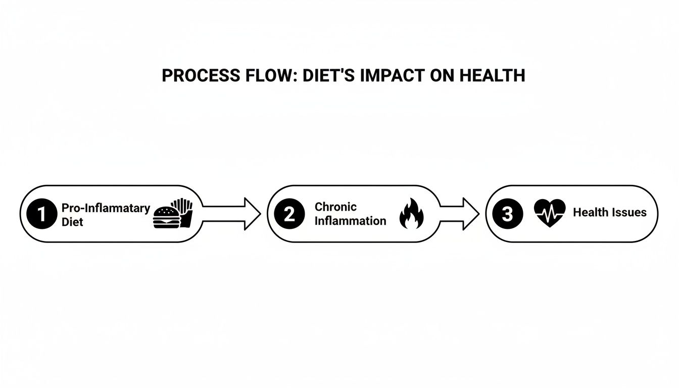 Process flow diagram showing how a pro-inflammatory diet leads to chronic inflammation and health issues.