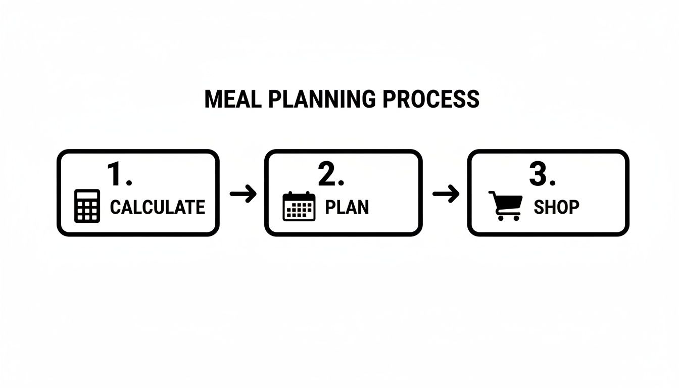 Visual guide illustrating the three steps of meal planning: calculate, plan, and shop.