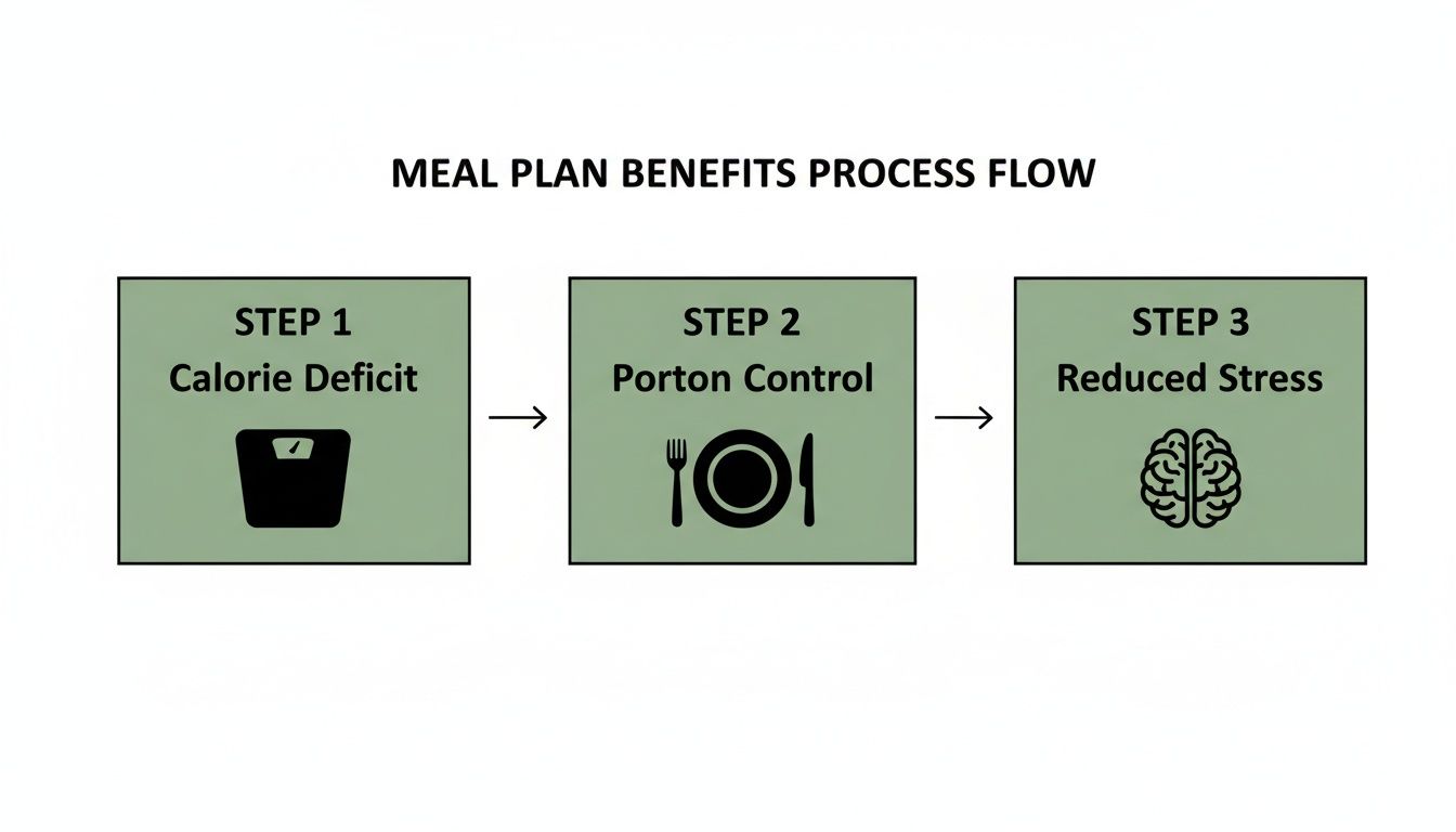 A meal plan benefits process flow illustrating calorie deficit, portion control, and reduced stress.