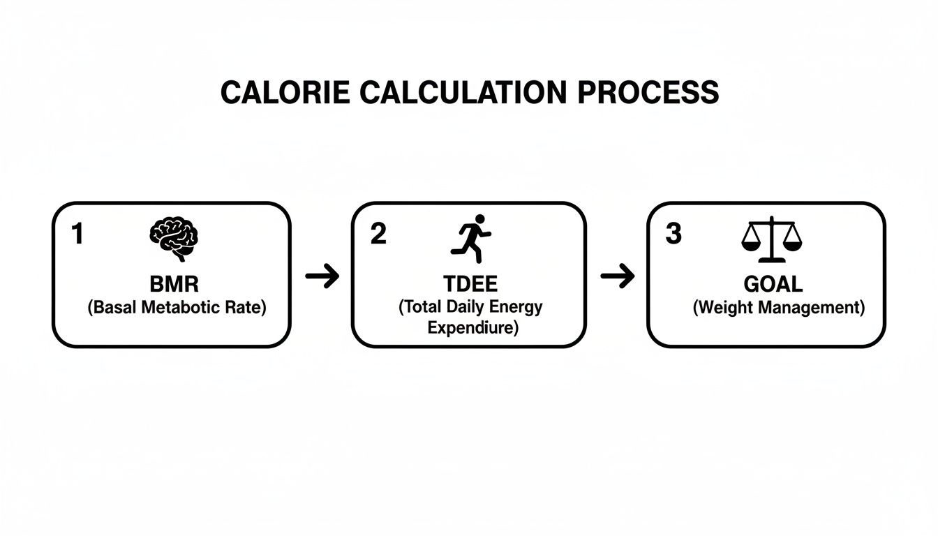 A flowchart explaining the calorie calculation process, from BMR and TDEE to weight management goals.