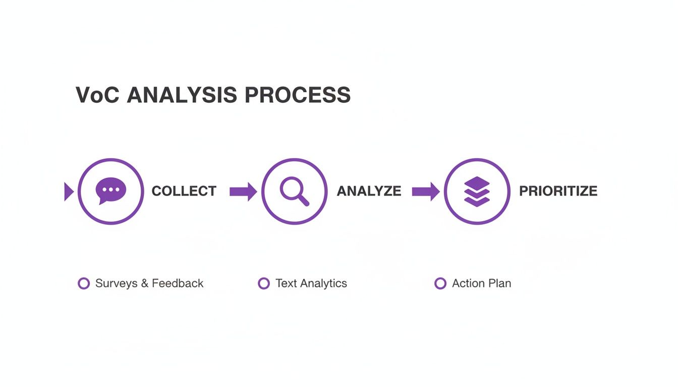 Infographic detailing the Voice of Customer (VoC) analysis process steps: Collect, Analyze, Prioritize with sub-points.