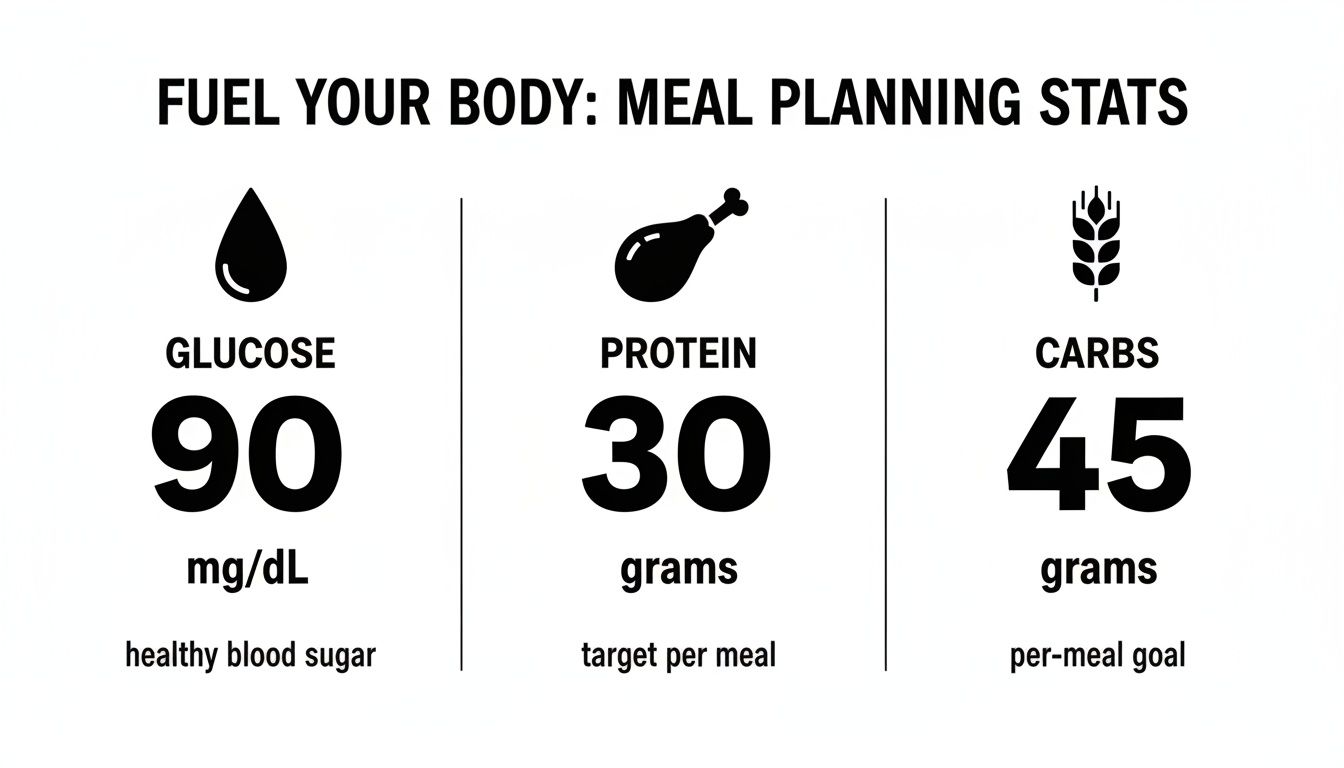 Infographic showing meal planning stats: Glucose 90 mg/dL, Protein 30 grams, and Carbs 45 grams.