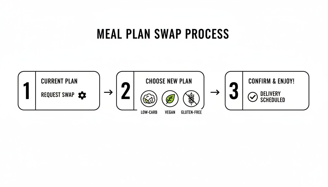 A three-step diagram illustrates the meal plan swap process: request, choose new options (low-carb, vegan, gluten-free), then confirm delivery.