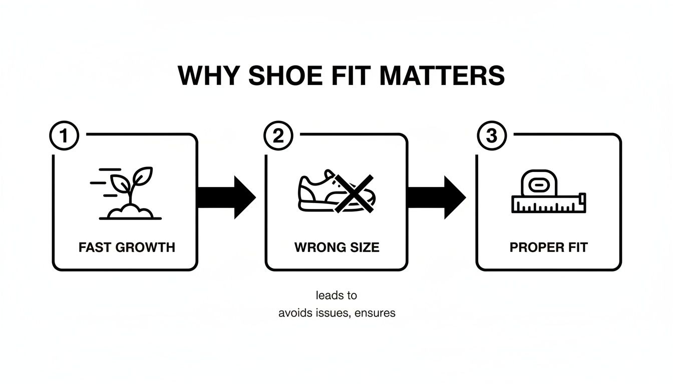 Flowchart illustrating why shoe fit matters: fast growth can lead to wrong size, emphasizing proper fit.
