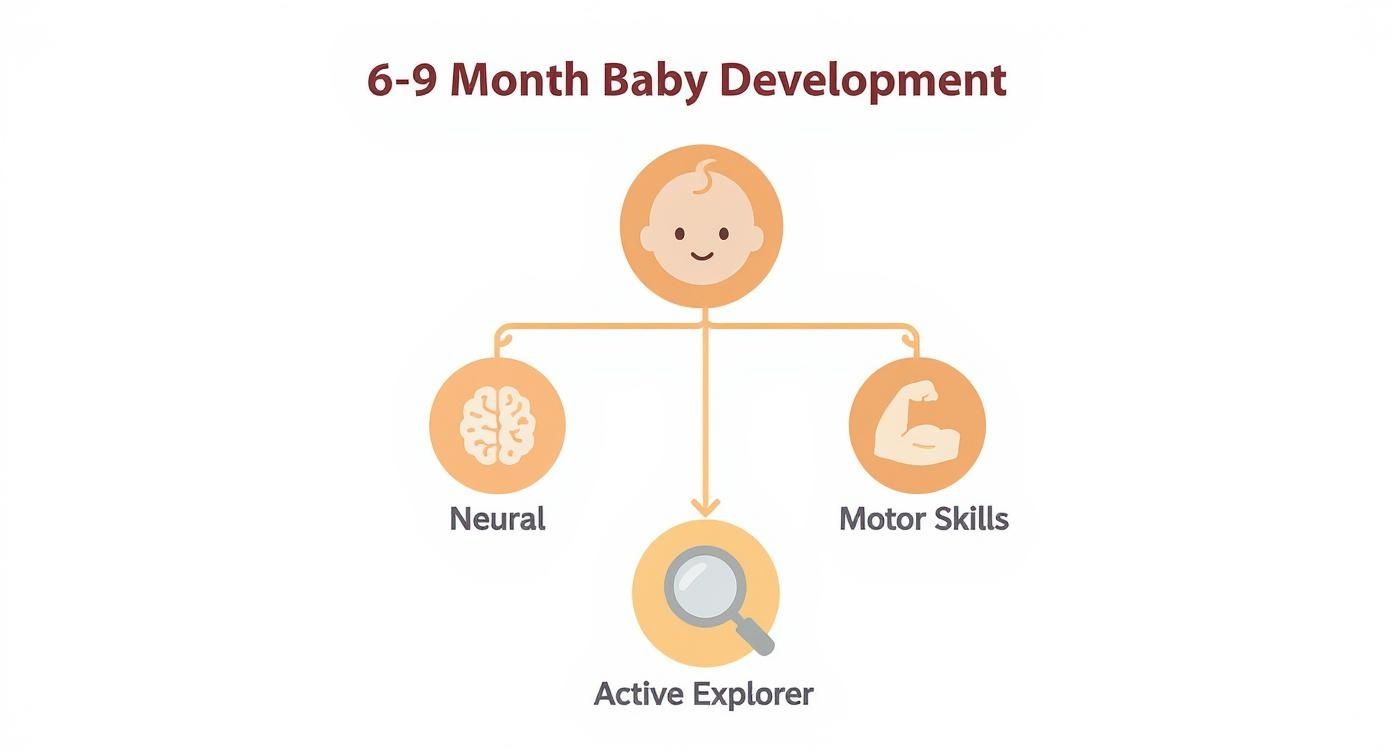 Infographic about 6-9 month toys