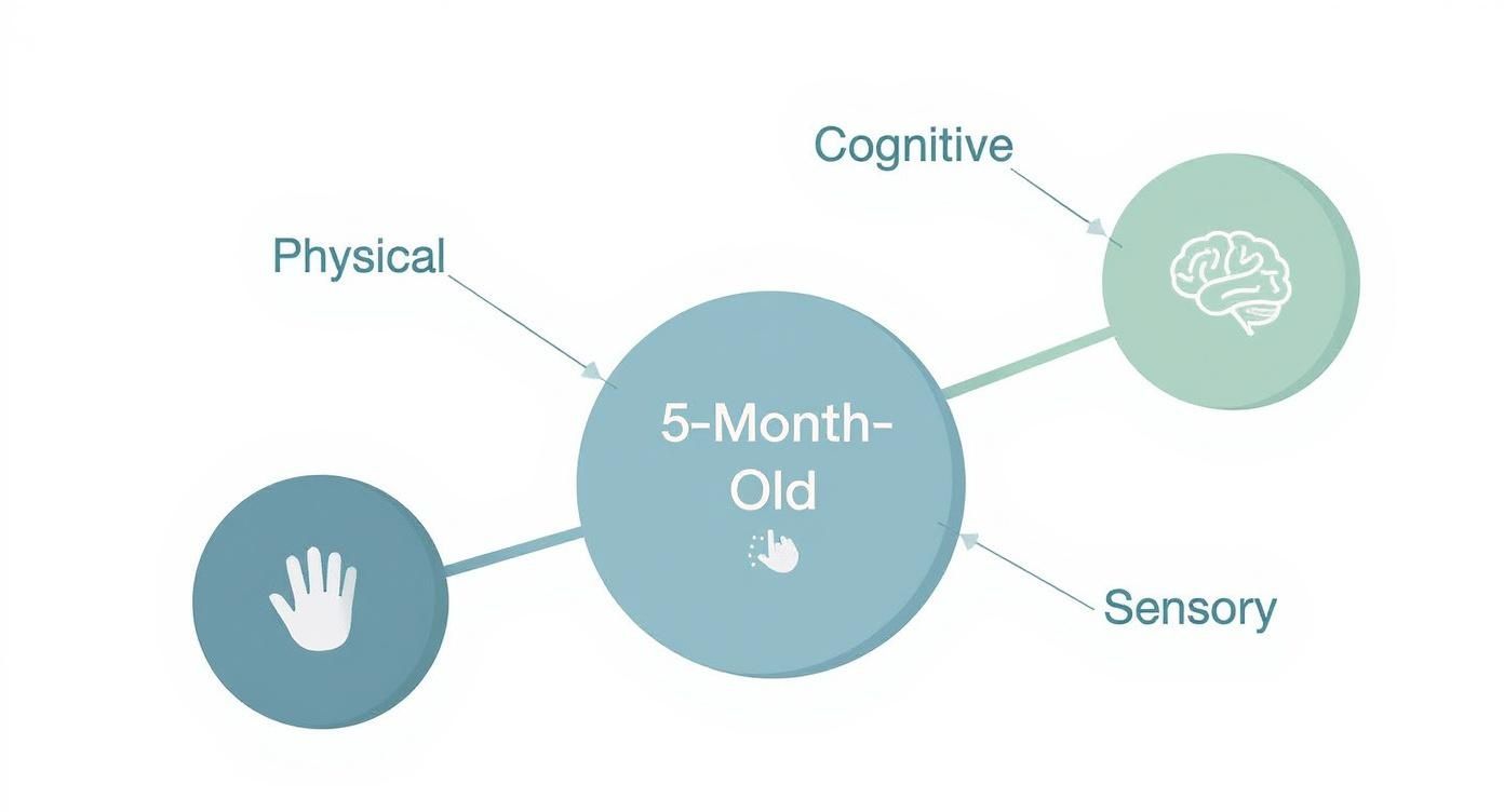 Infographic about 5 month old baby toys