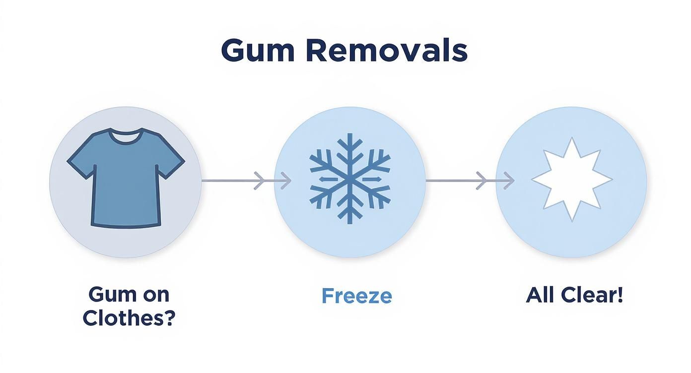 Infographic about how do you take gum off clothes