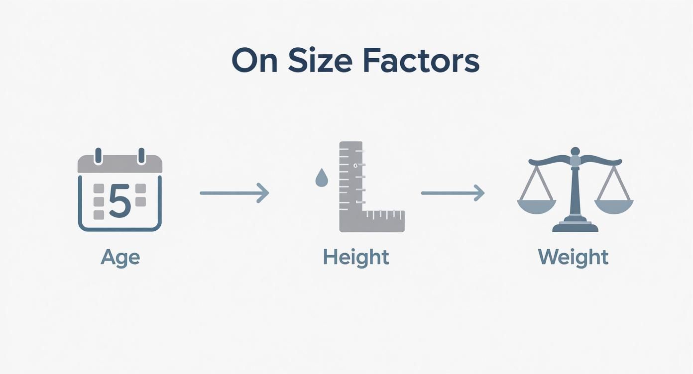 Infographic showing how age influences height, which in turn affects weight measurements for individuals.
