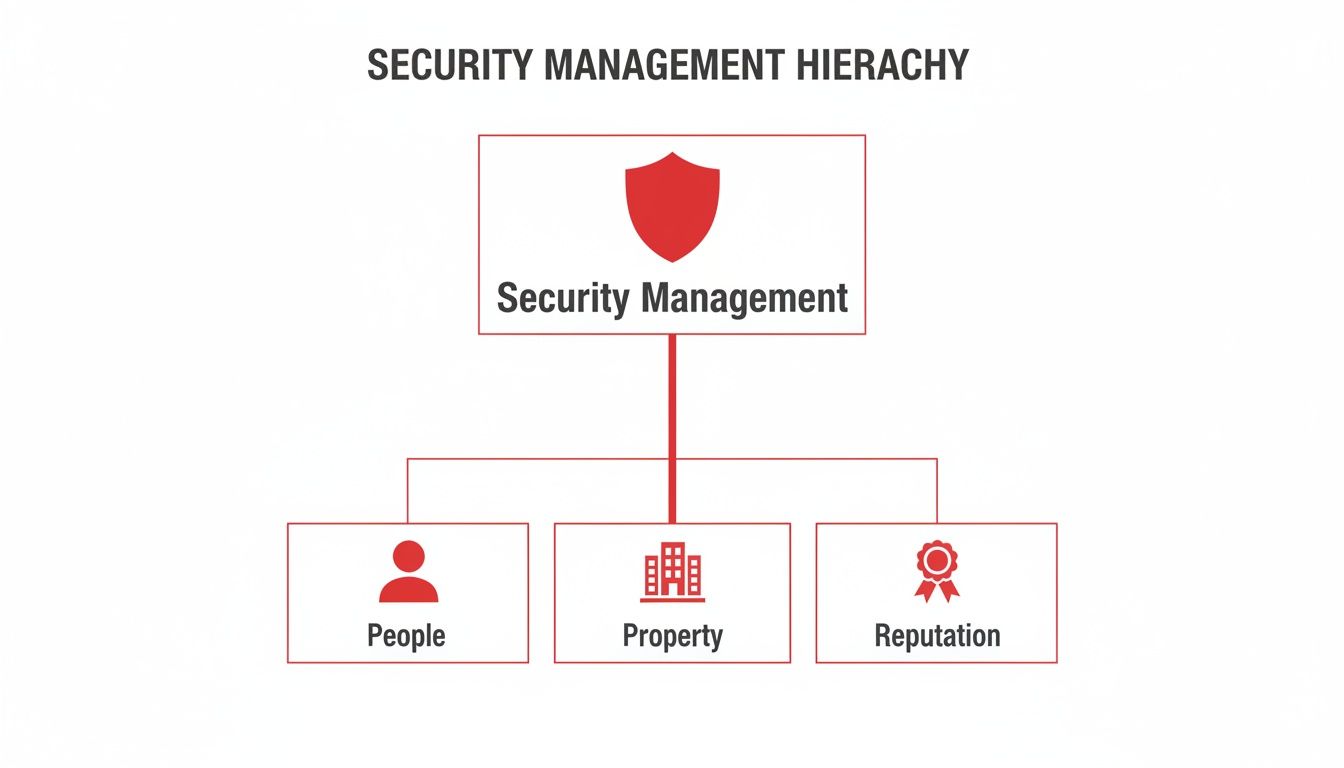 7 Shocking Reasons Your Business Needs Professional Security Management Services 1 A clear hierarchy diagram showing security management covers people, property, and reputation.