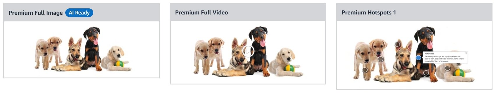 Group of adorable puppies of different breeds sitting together with a ball toy