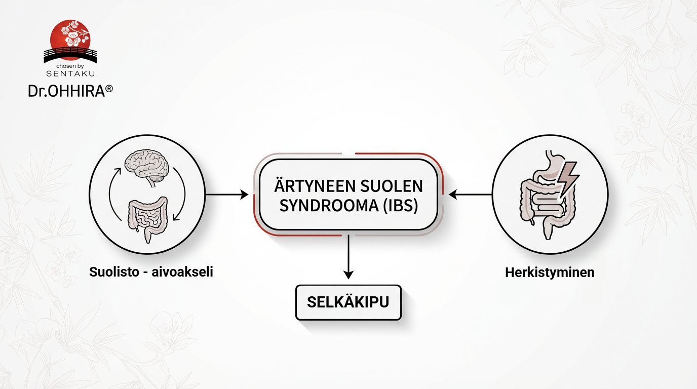 Diagrammi ärtyneen suolen oireyhtymän (IBS) yhteydestä suolisto-aivoakseliin, herkistymiseen ja selkäkipuun.