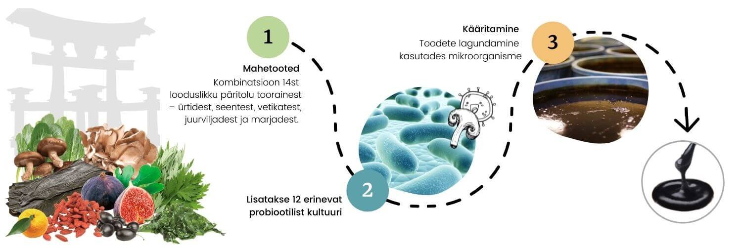 Dr. Ohhira probiootikumide tootmisprotsess kolmes etapis: mahetooted, probiootiline kultuur ja kääritumine