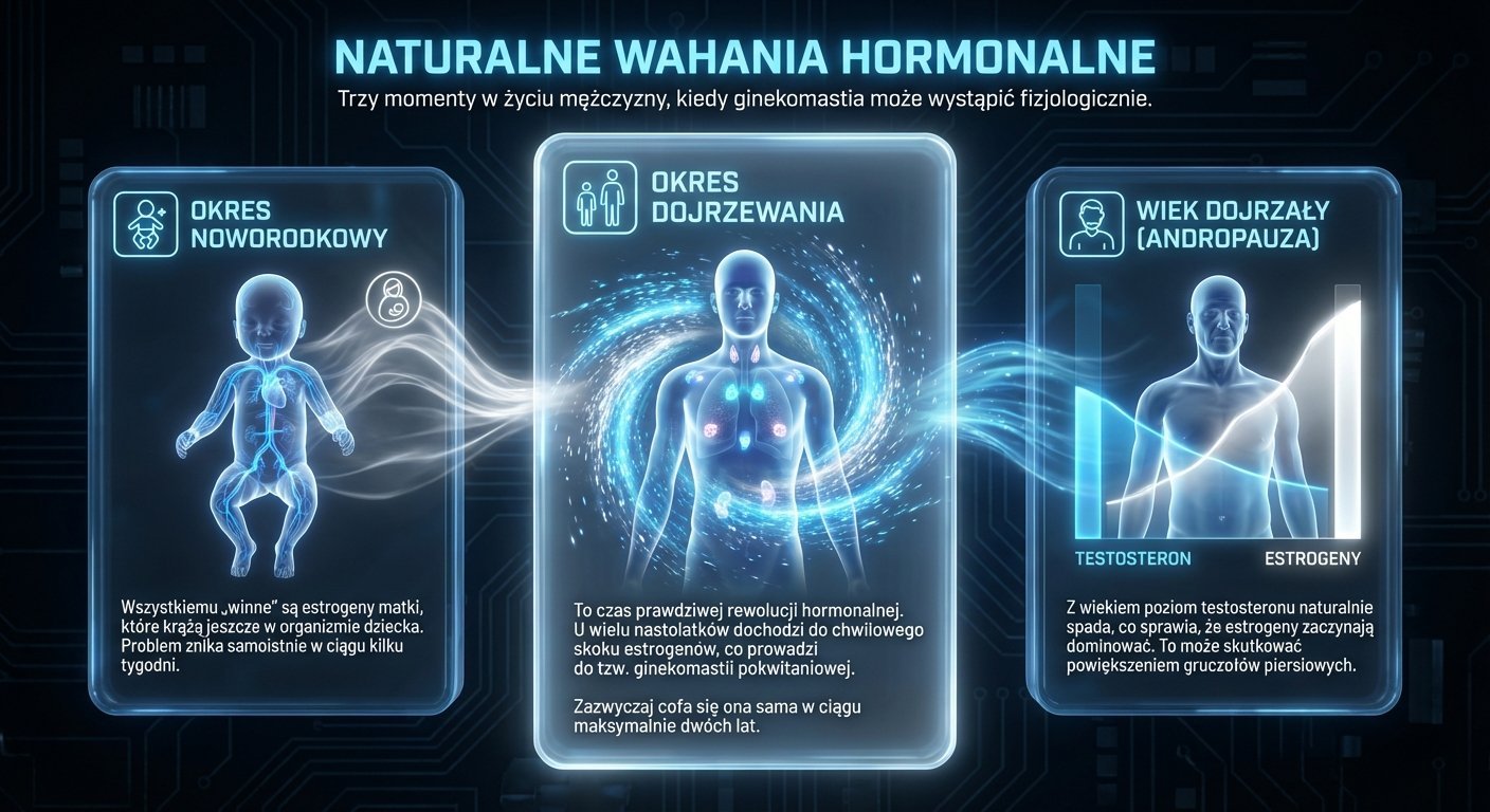 Infografika przedstawiająca trzy naturalne okresy w życiu mężczyzny, kiedy może wystąpić ginekomastia fizjologicznie.