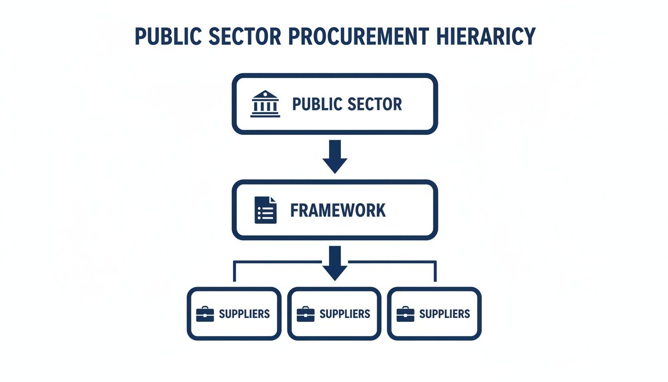 Flowchart illustrating public sector procurement, detailing the path from public sector to framework and suppliers.