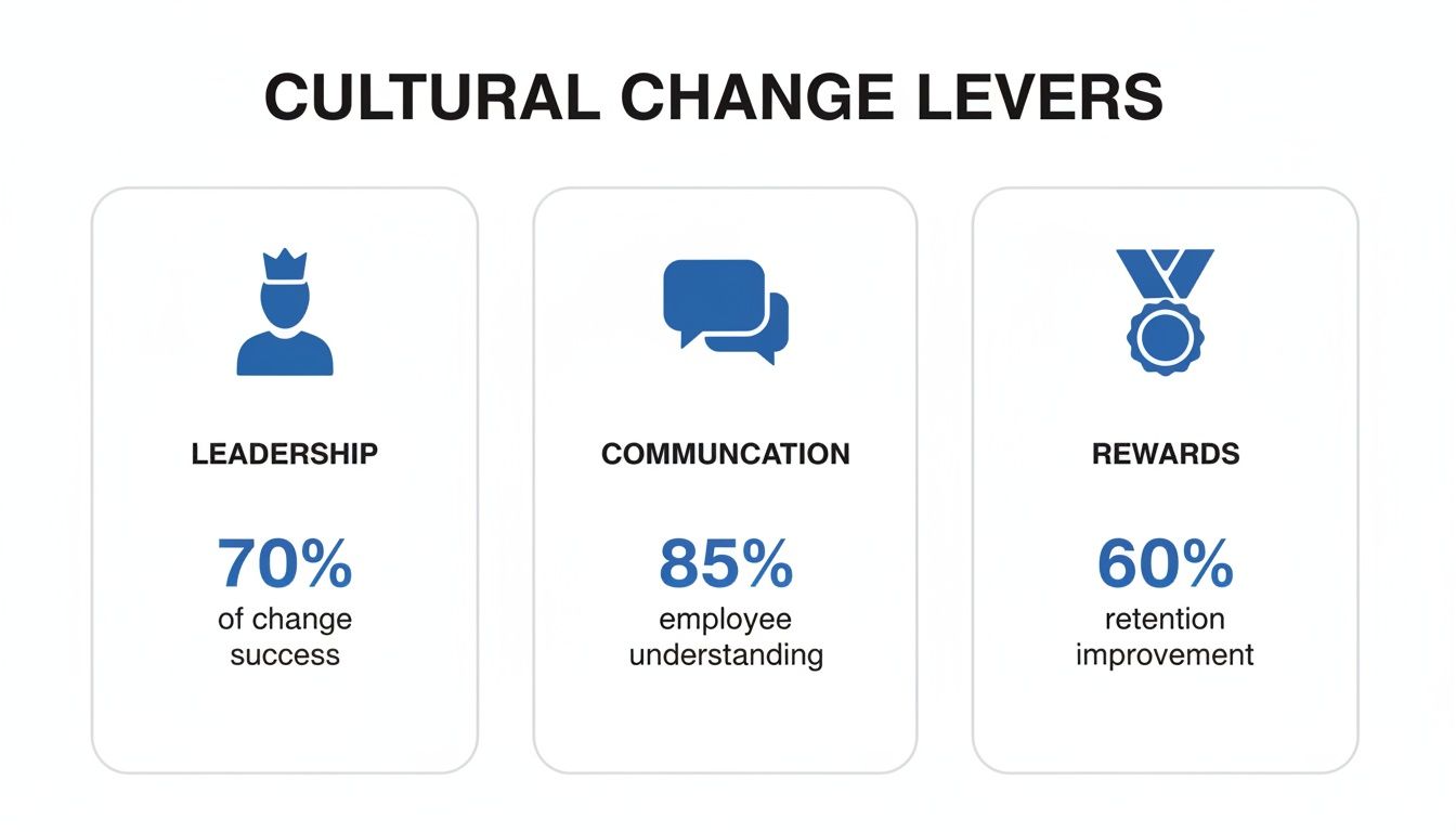 Infographic showing three cultural change levers: leadership, communication, and rewards, with their respective impact percentages.