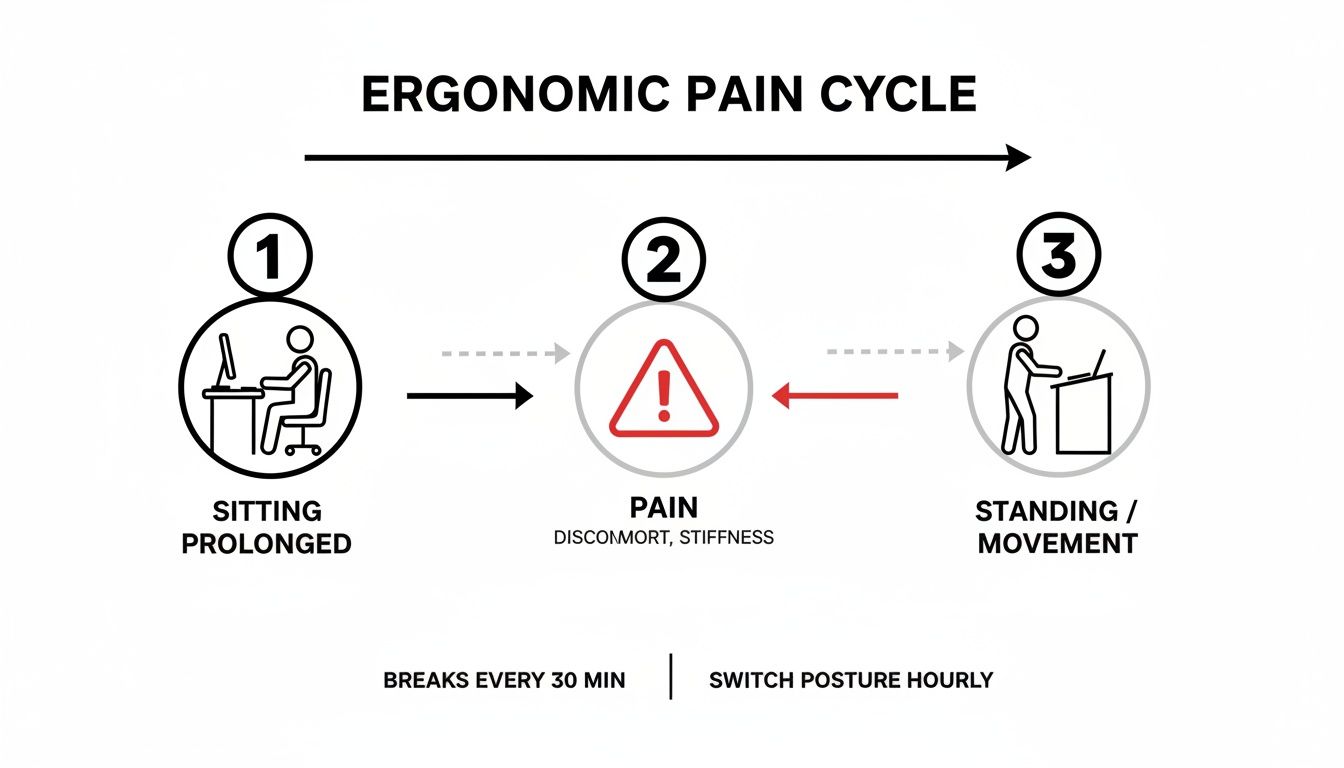 Infographic showing the ergonomic pain cycle from prolonged sitting to pain and relief through standing/movement.