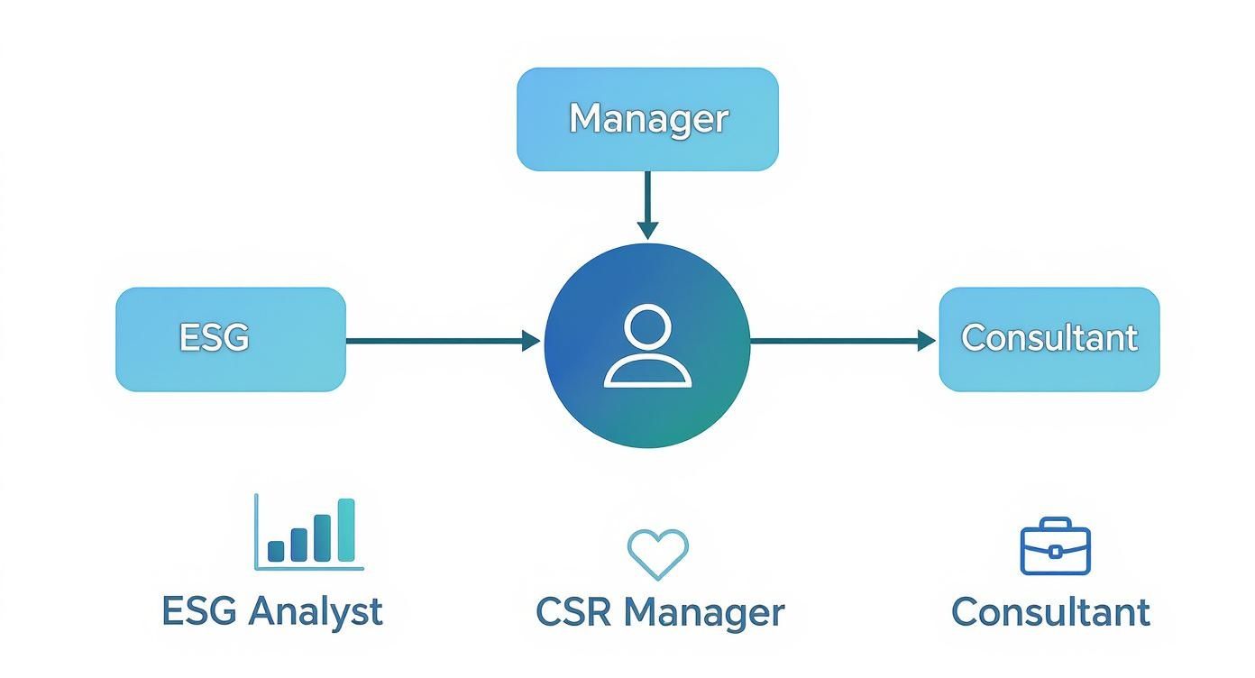Infographic about jobs in sustainability management