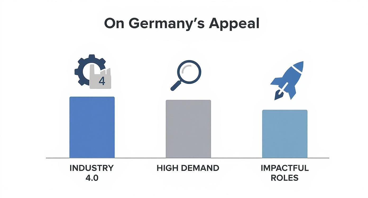 Infographic about data scientist jobs germany