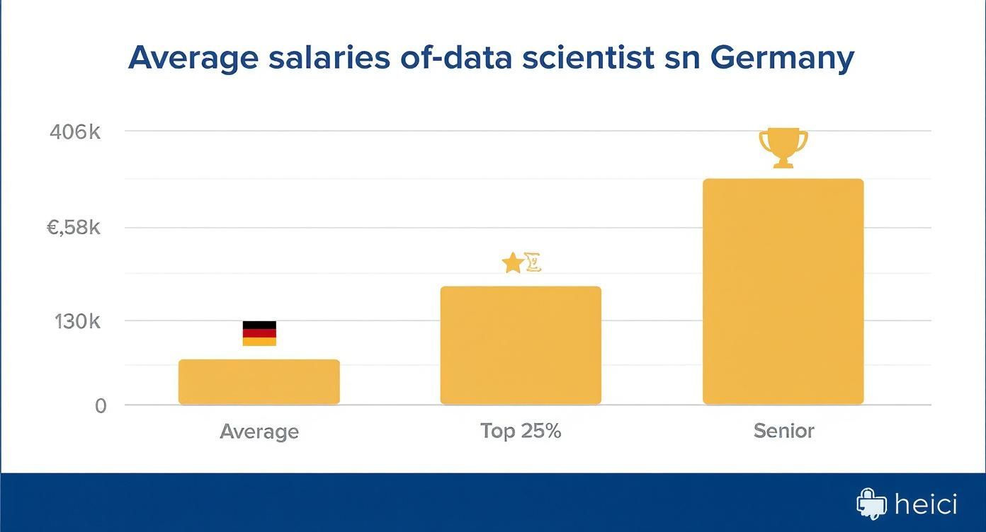 Infographic about data scientist job in germany
