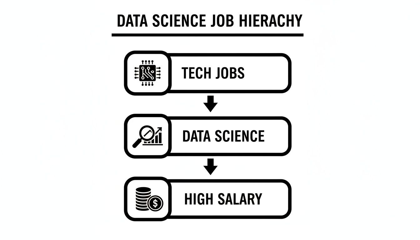 A hierarchical diagram illustrating that tech jobs lead to data science, which results in high salaries.