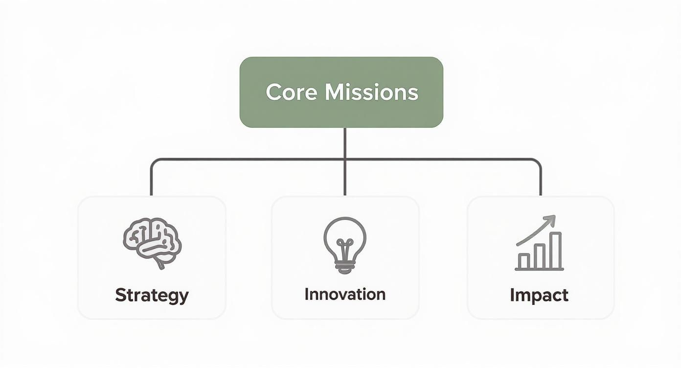 Infographic about sustainability management job