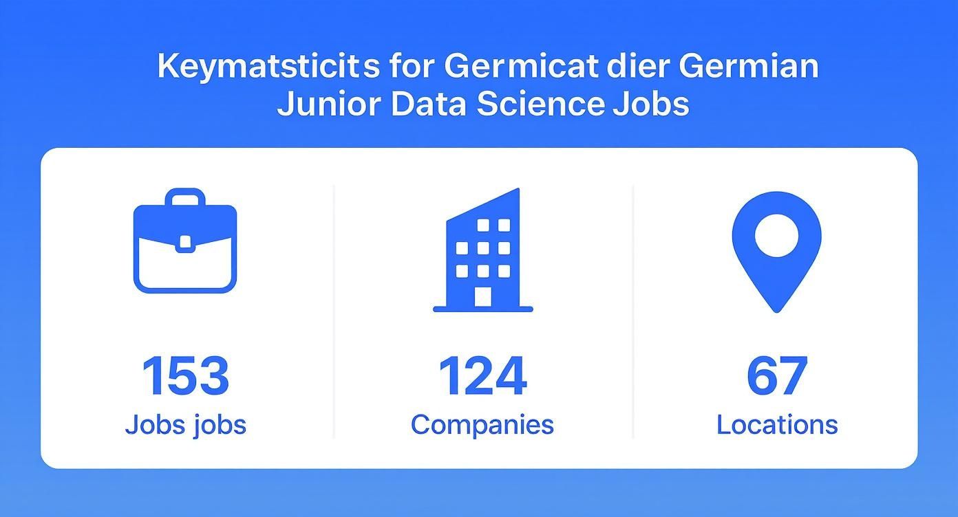 Infographic about junior data scientist jobs
