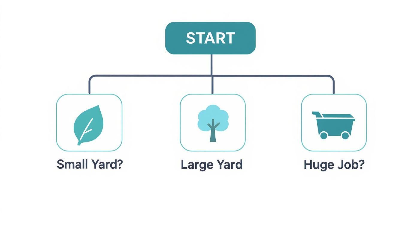Infographic about how to dispose of leaves