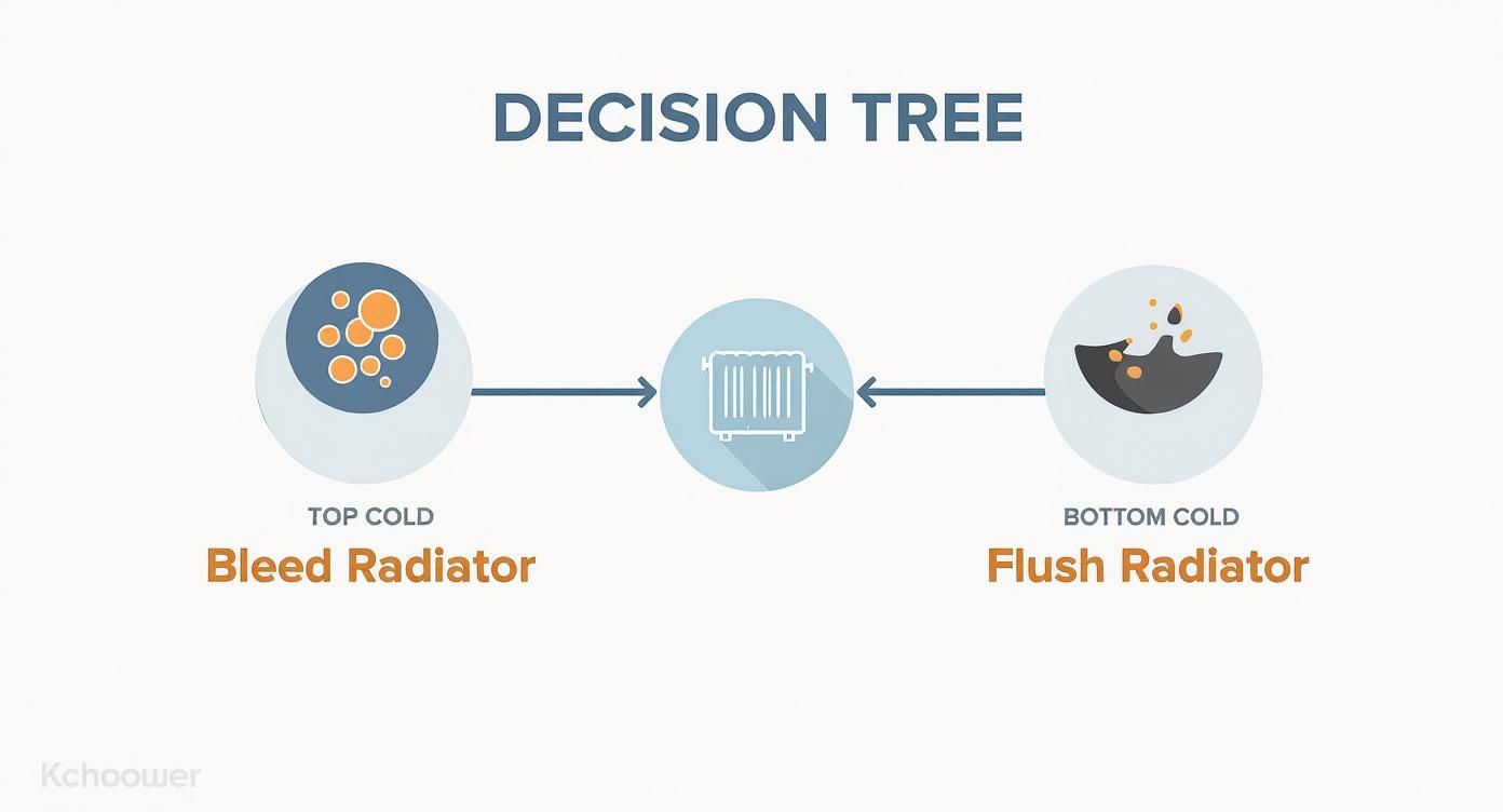Infographic about radiator cold at the bottom