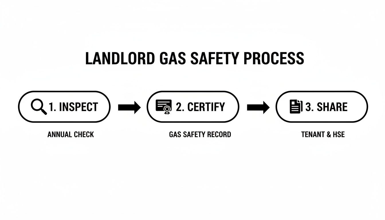 Flowchart illustrating the landlord gas safety process, showing steps to inspect, certify, and share.