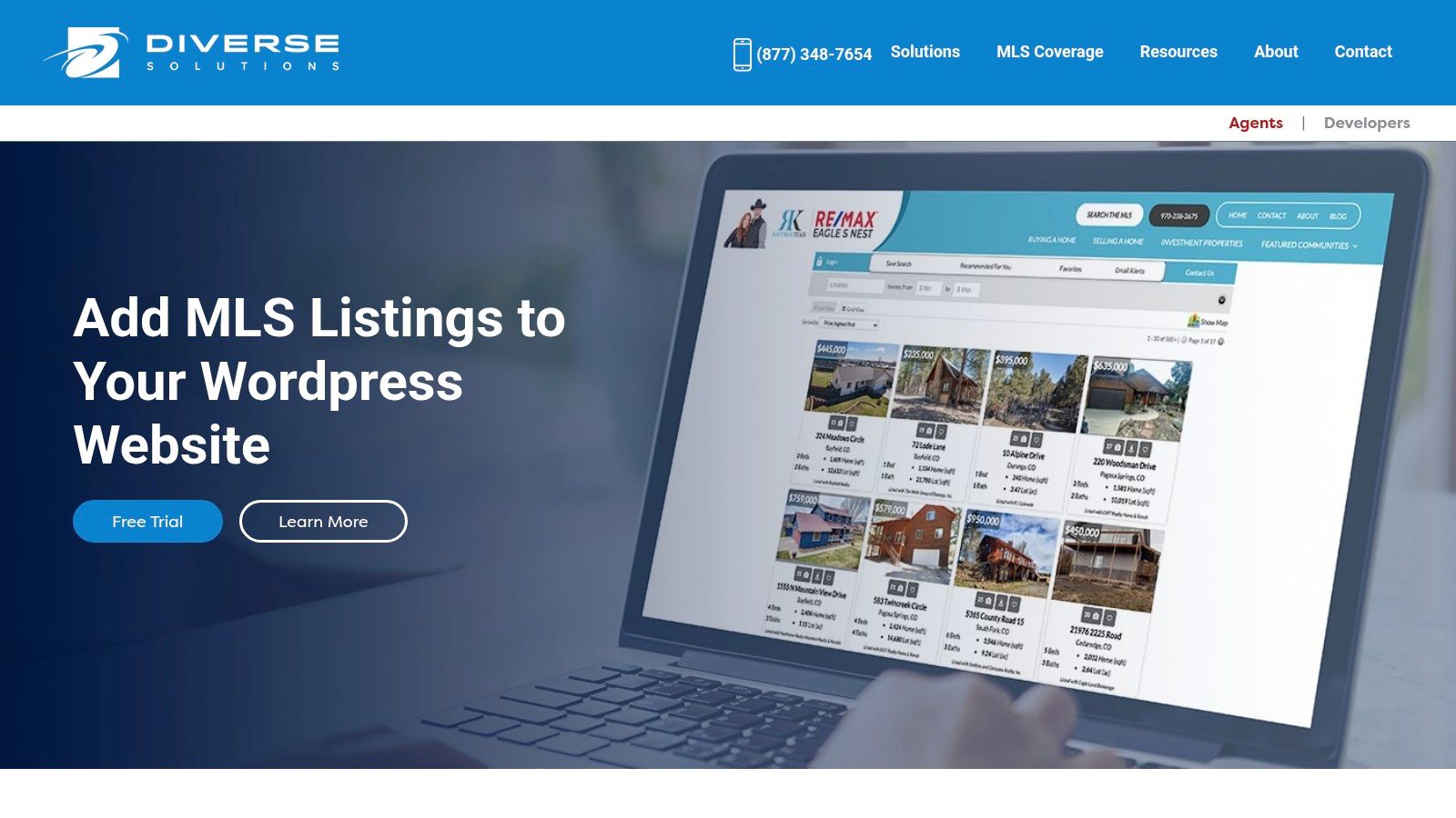 Diverse Solutions (dsIDXpress)