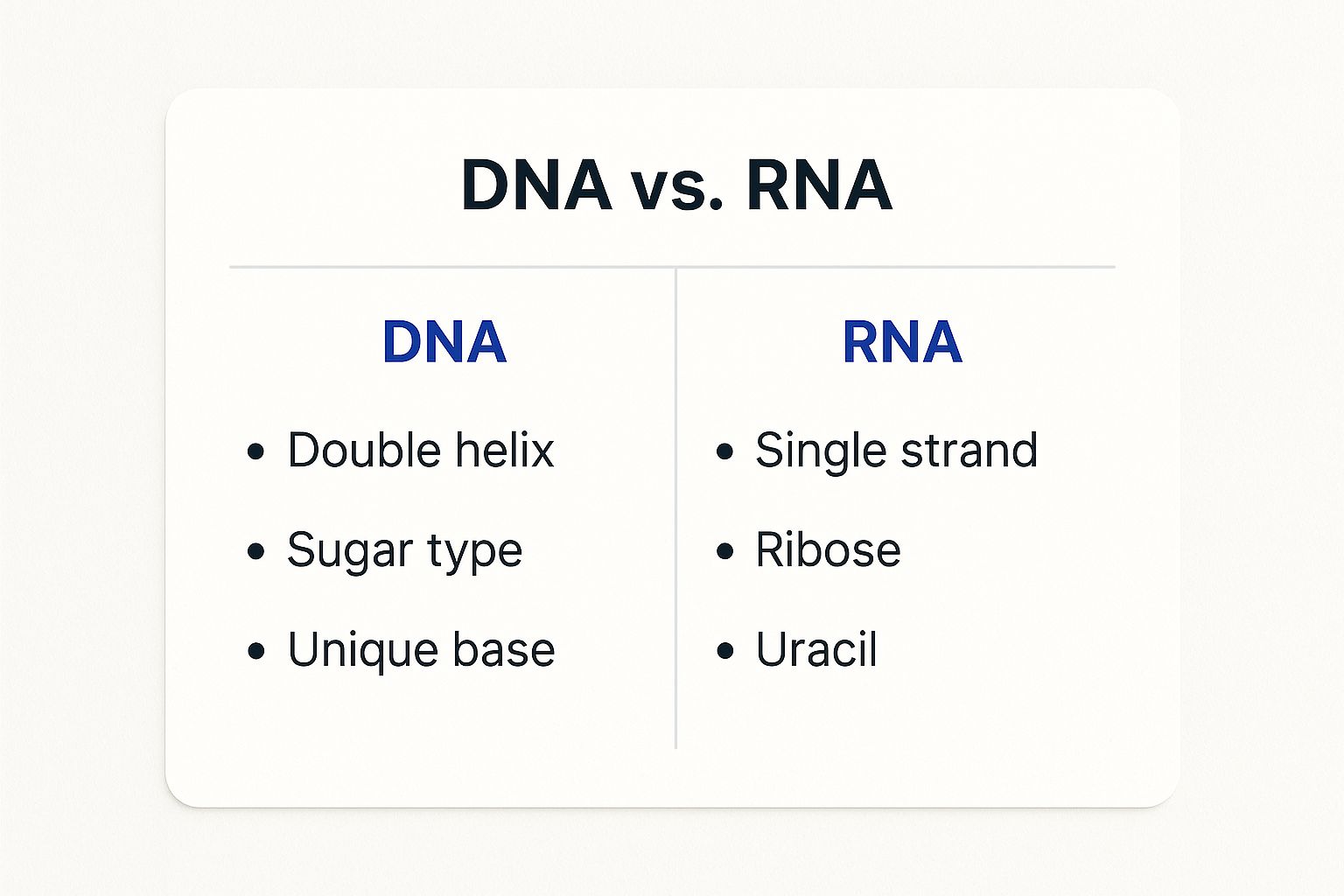 Infographic about differences between DNA and RNA