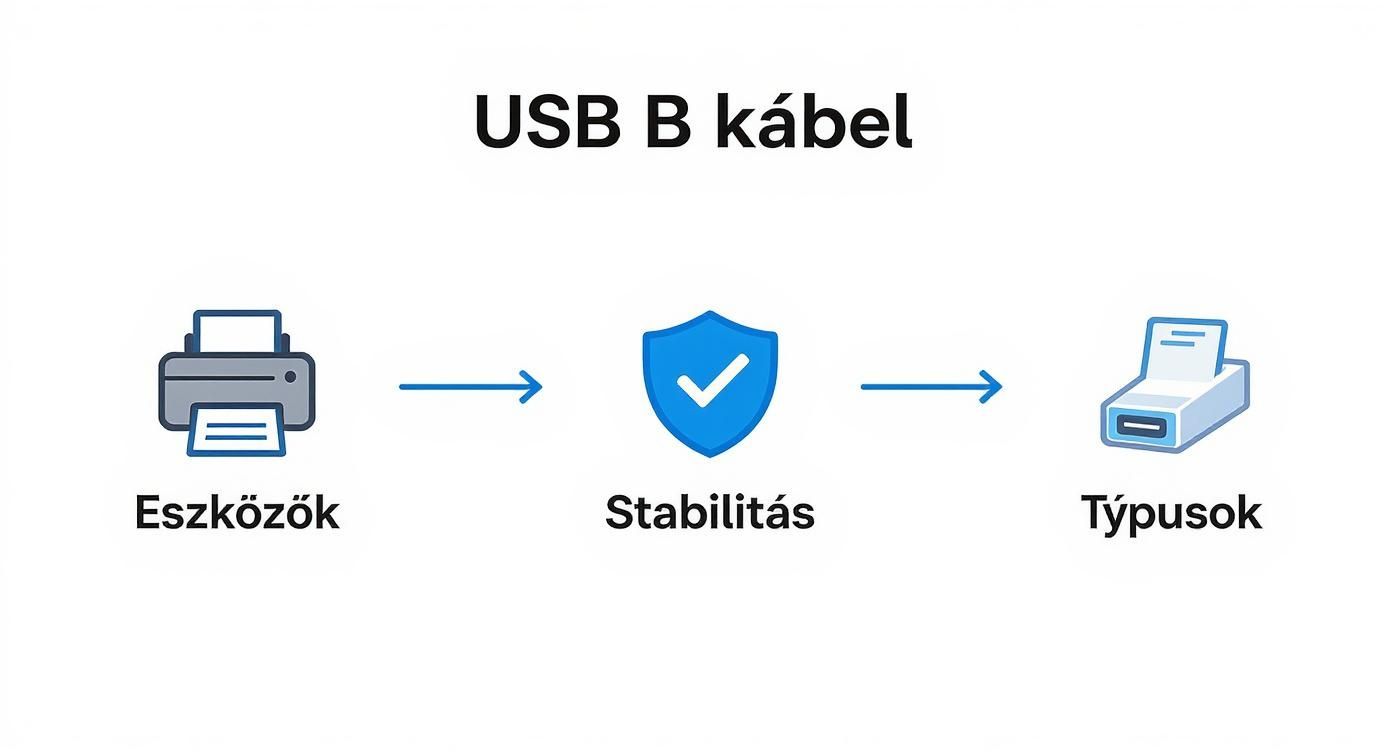 USB B kábel összeköttetés folyamata: eszközöktől a stabilitáson keresztül a különböző típusokig