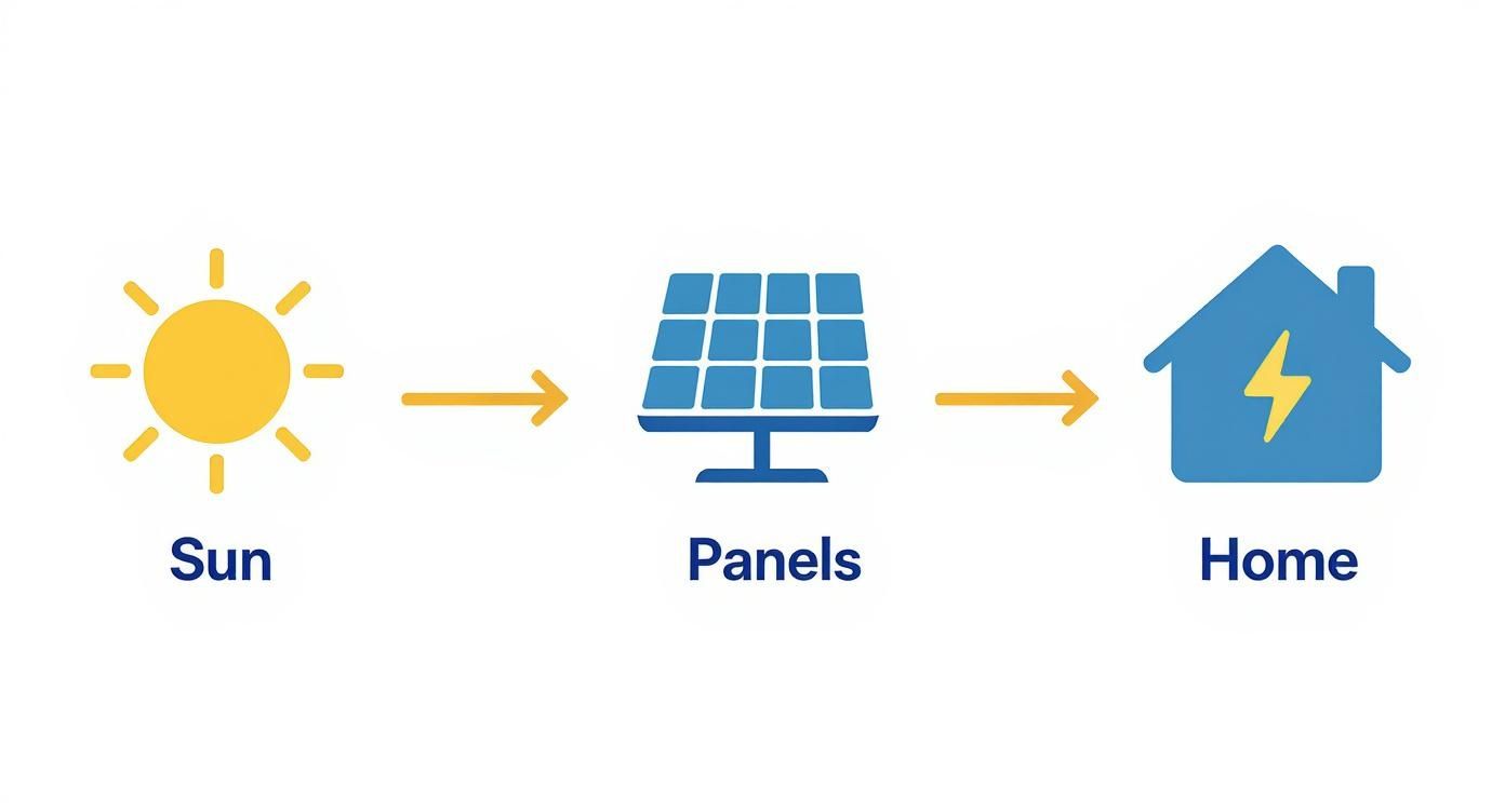 Infographic about solar panels and battery package